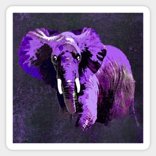 ELEPHANT PURPLE VIOLET SPARKLE Sticker